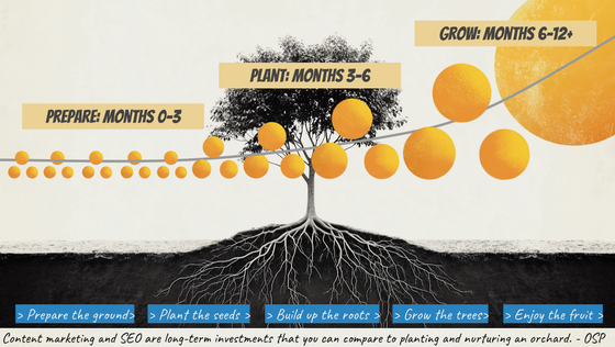 Three phase growth curve as described in the text, represented as a row of oranges growing larger left to right