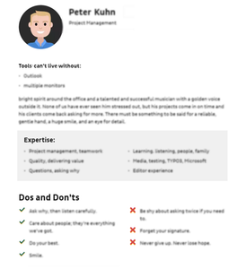 Example team profile format